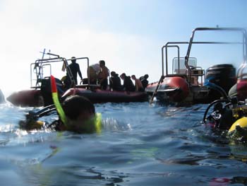 02 Preparados